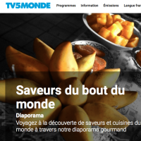 tv5monde, un panorama sur la francophonie